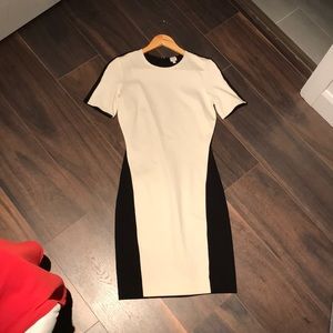 Wilfred Aritzia Tight Dress 💋